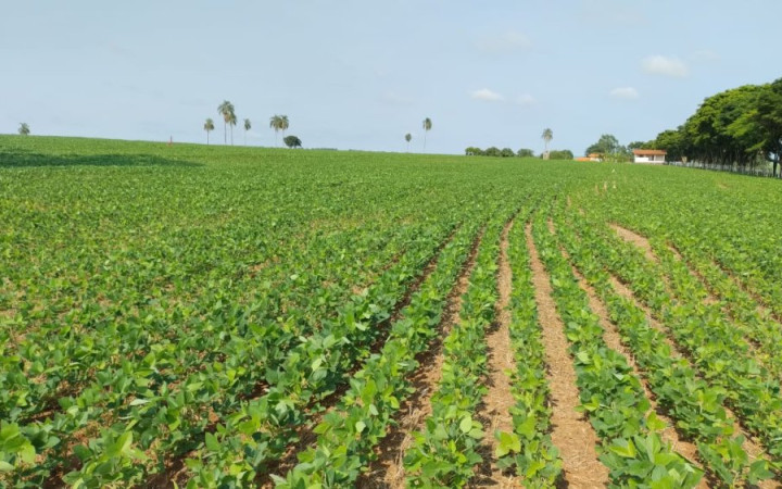 Fazenda