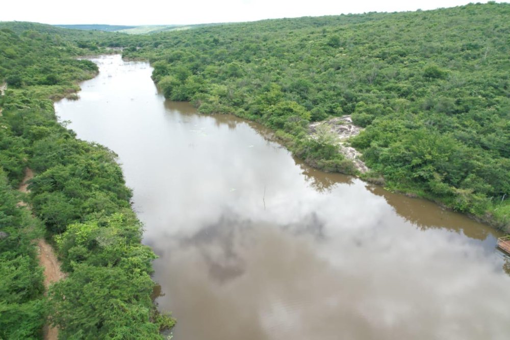 Fazenda - Venda - Rural - Ninheira - MG