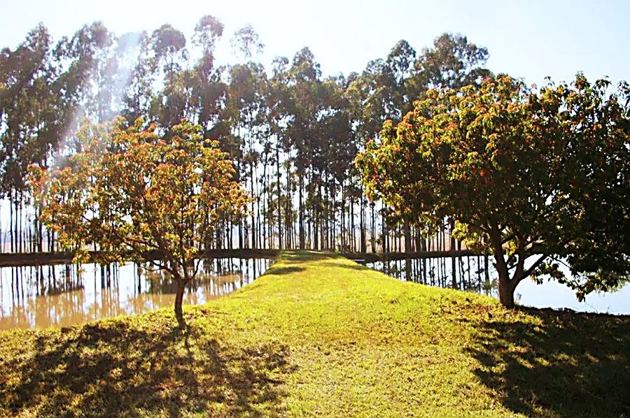Fazenda - Venda - Rural - Santana do Itarar - PR