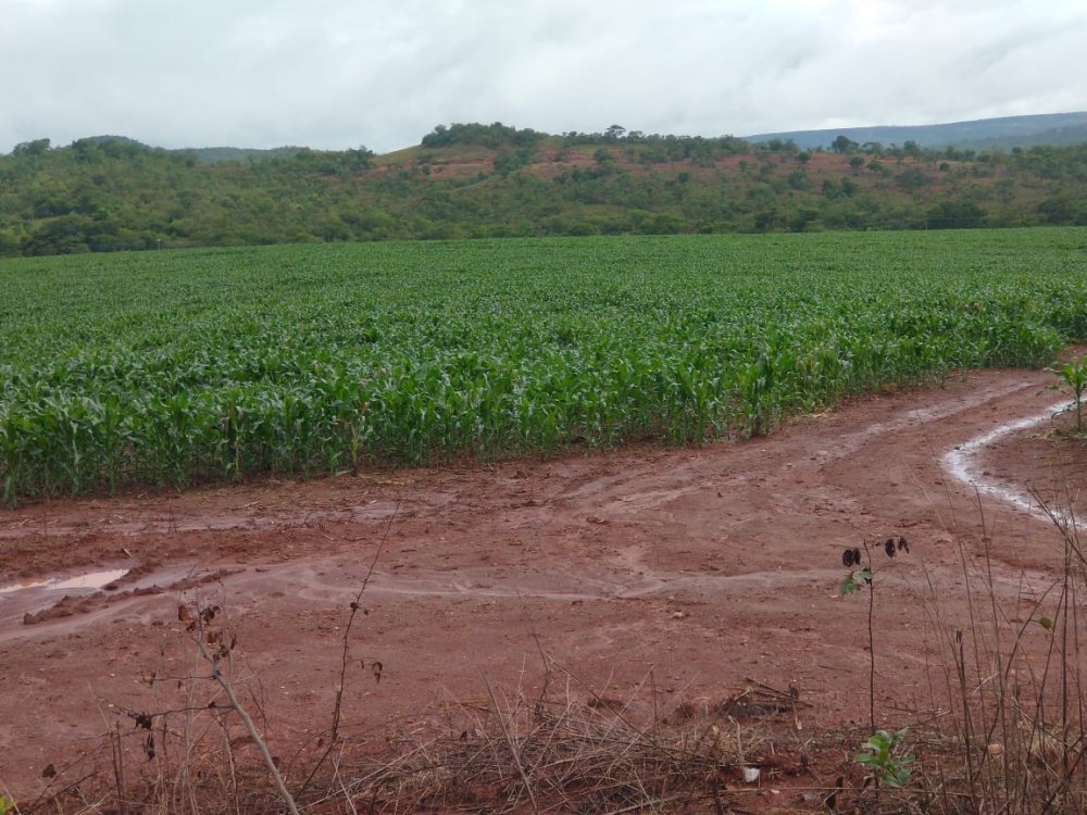 Fazenda - Venda - Rural - Diamantina - MG