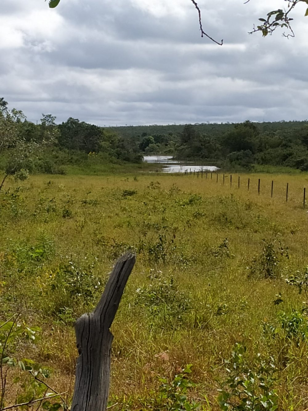 Fazenda - Venda - Rural - So Francisco - MG