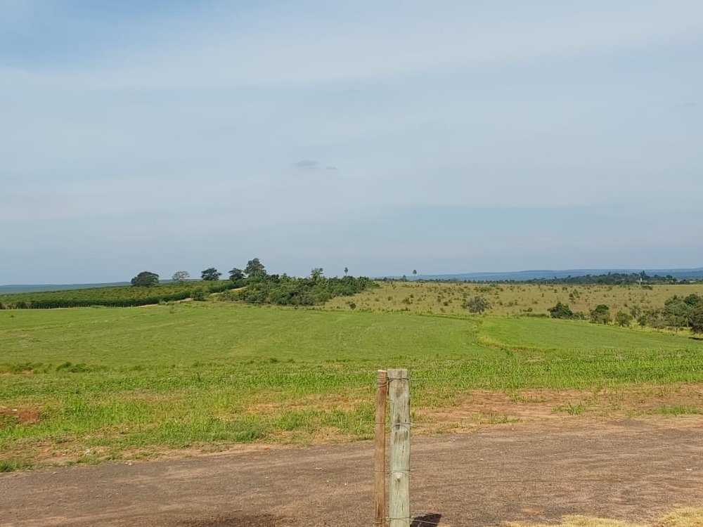 Fazenda - Venda - Rural - Paulistania - SP