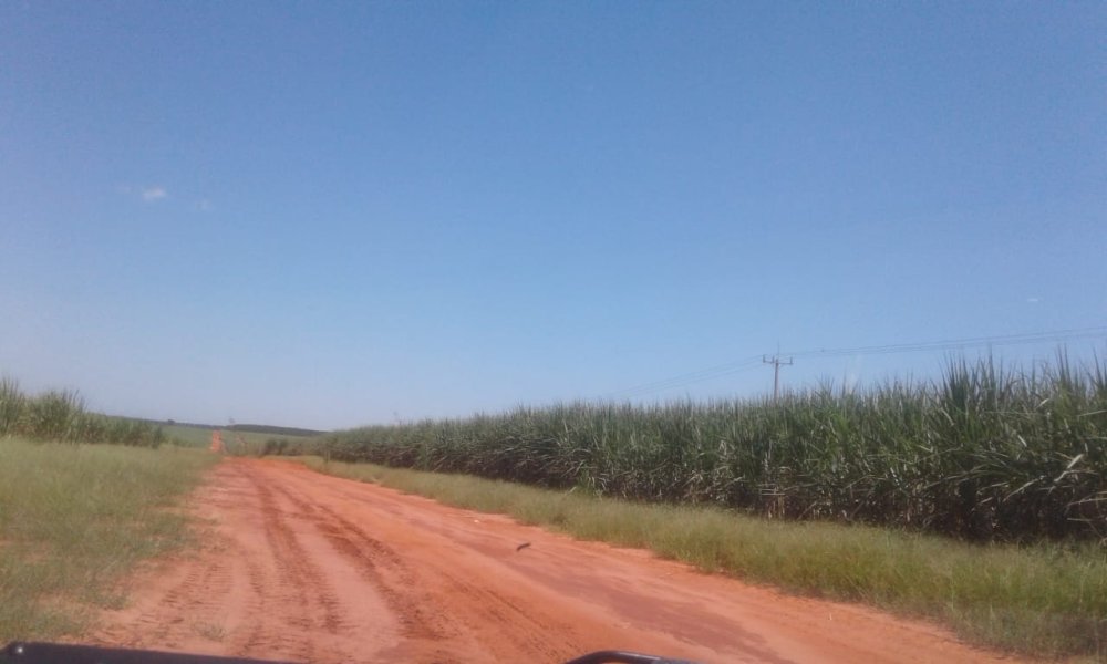 Fazenda - Venda - Rural - Invinhema - MS