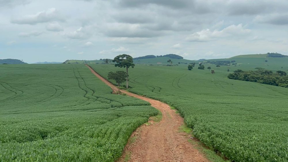 Fazenda - Venda - Rural - Taquarituba - SP