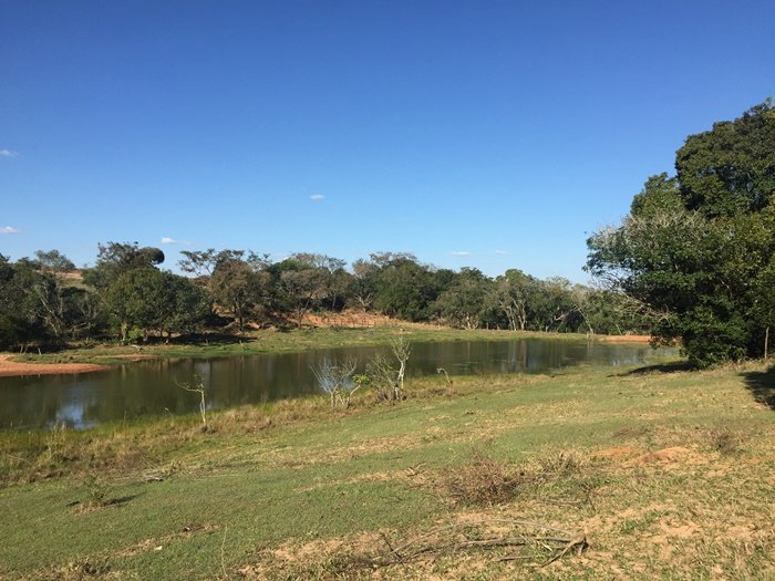 Fazenda - Venda - Rural - Avare - SP