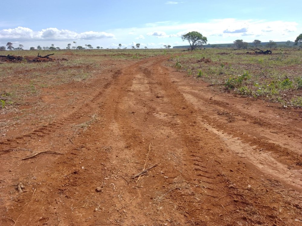 Fazenda - Venda - Rural - Felixlandia - MG