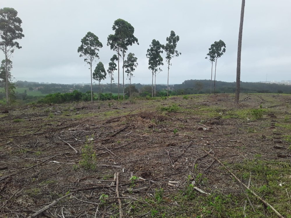 Chcara - Venda - Rural - Avare - SP