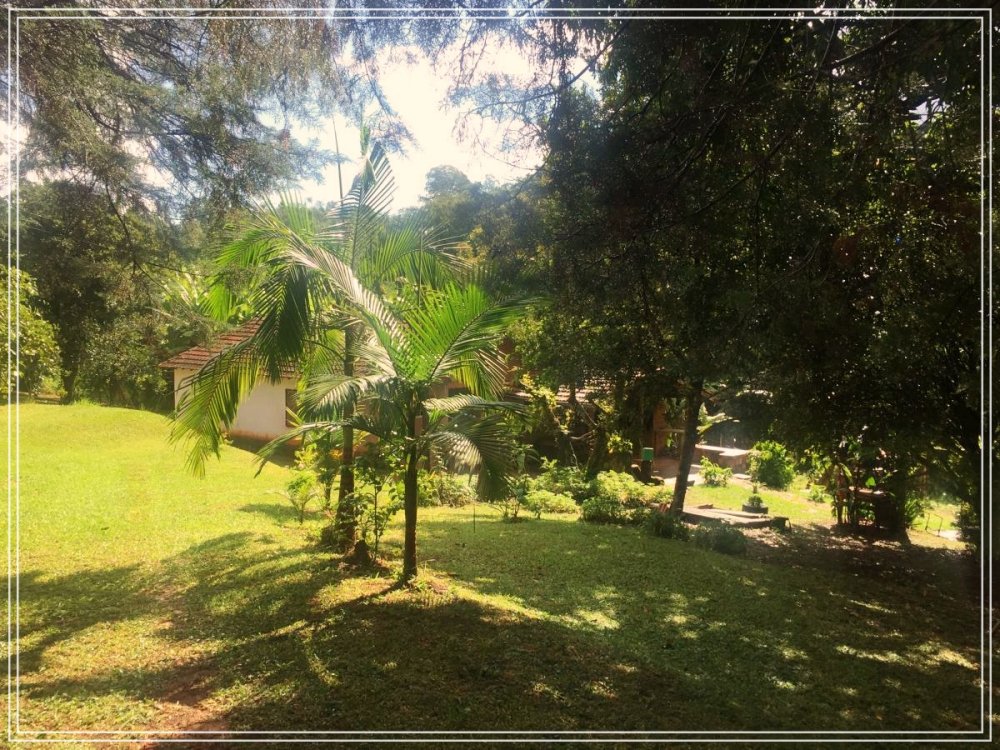 Sítio - Venda - Rural - Avare - SP