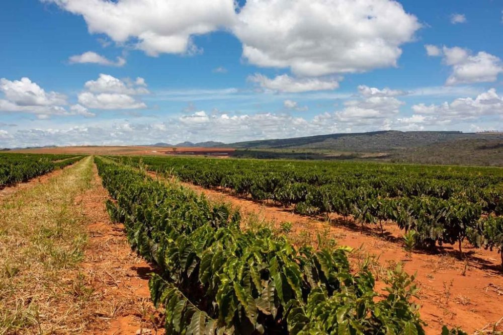 Fazenda - Venda - Rural - Serra do Cabral - MG
