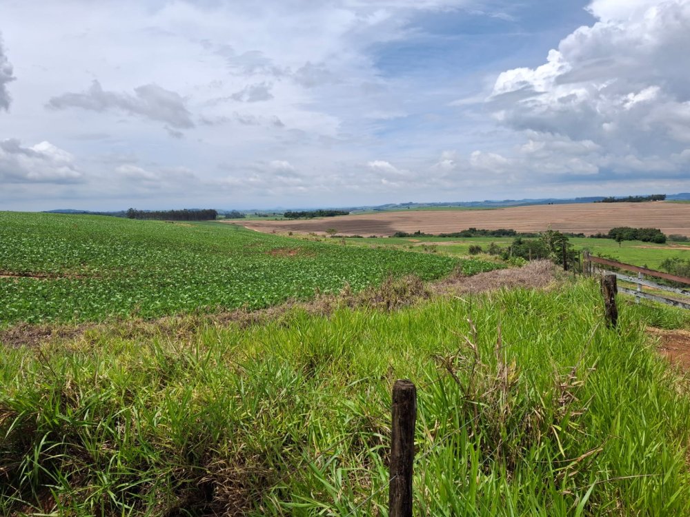 Fazenda - Venda - Rural - Riversul - SP