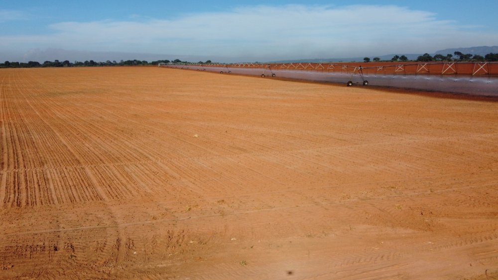 Fazenda - Venda - Rural - Pirapora - MG