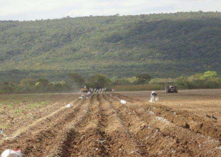 Fazenda - Venda - Rural - Pirapora - MG