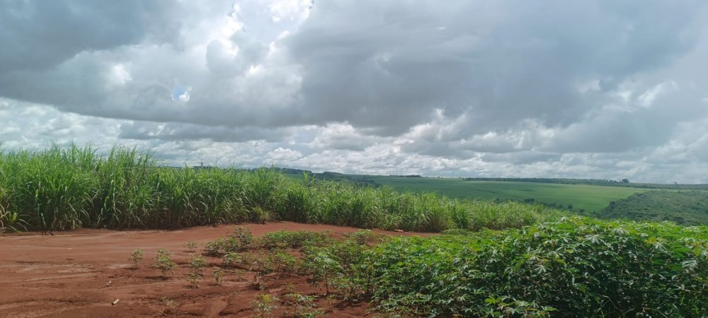 Fazenda - Venda - Rural - Ipaussu - SP