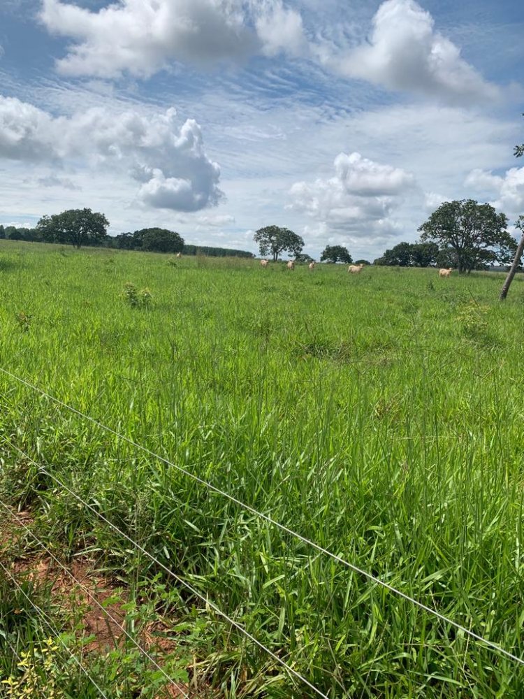 Fazenda - Venda - Rural - Bocaiuva - MG