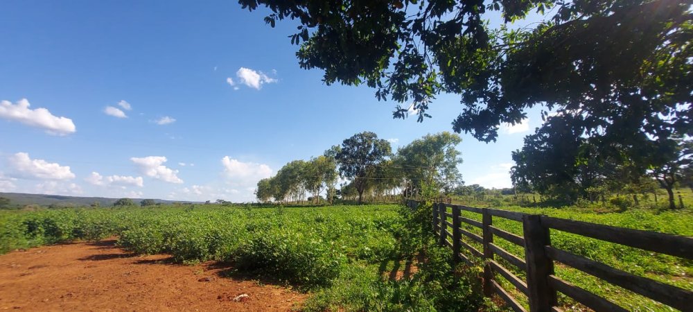 Fazenda - Venda - Rural - Diamantina - MG