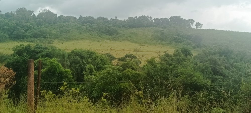 Stio - Aluguel - Rural - Avare - SP